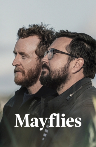 Mayflies  poster